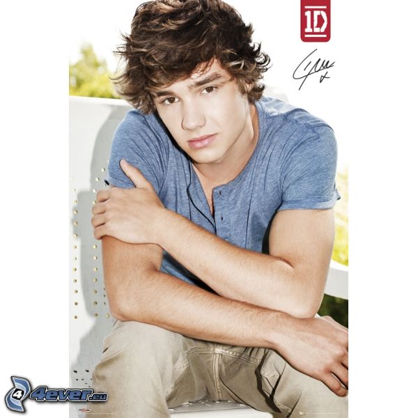 [obrazky.4ever.sk] liam payne 153290